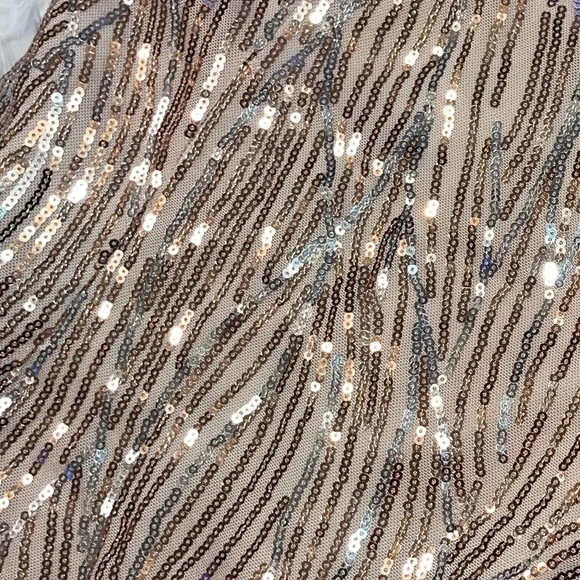 NWT ๐HOST PICK๐ Hello Molly sequin Dress sz L๐ฅณ๐ - Picture 12 of 16